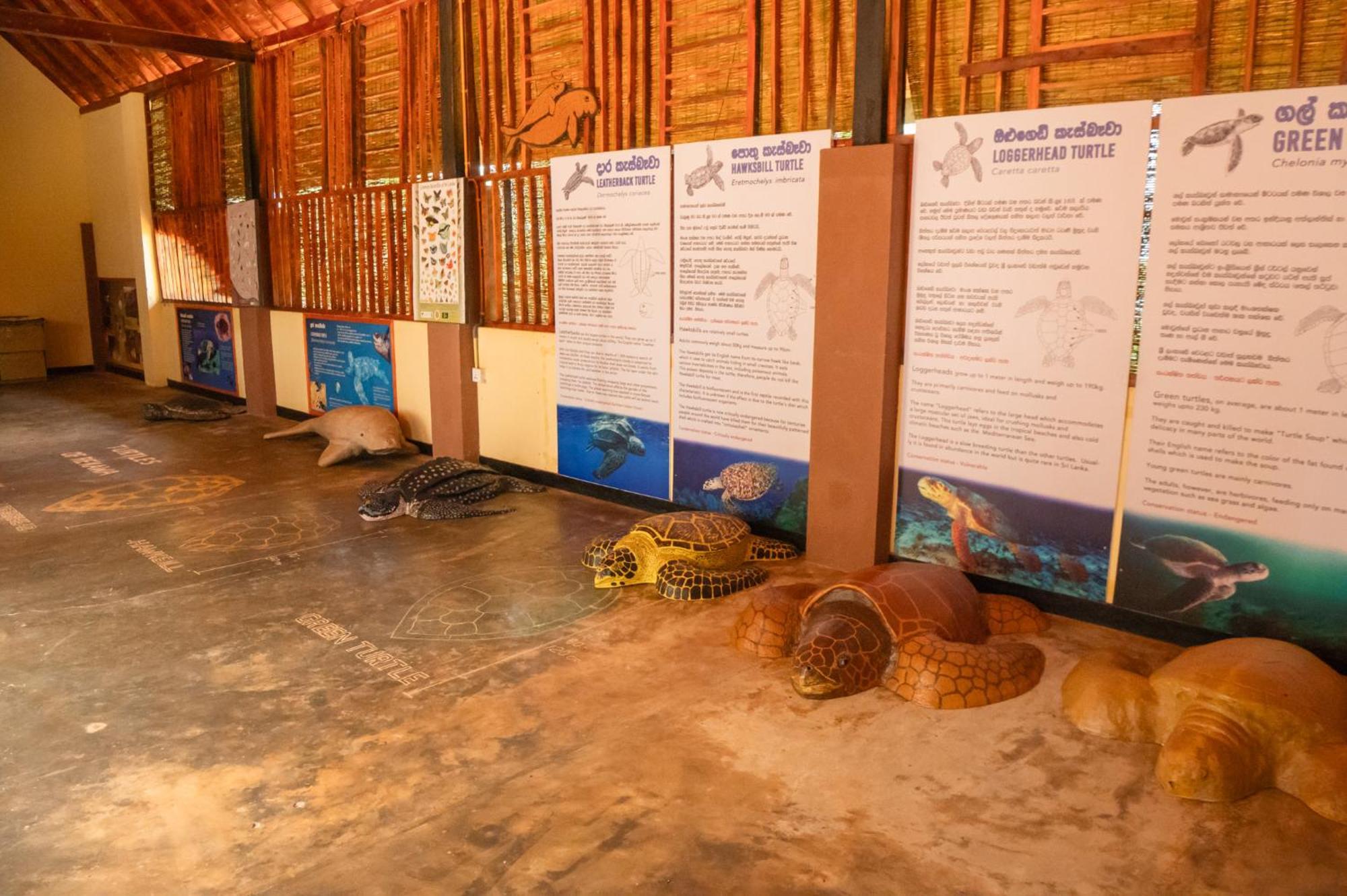 Rekawa Turtle Gate Hotel Tangalle Dış mekan fotoğraf