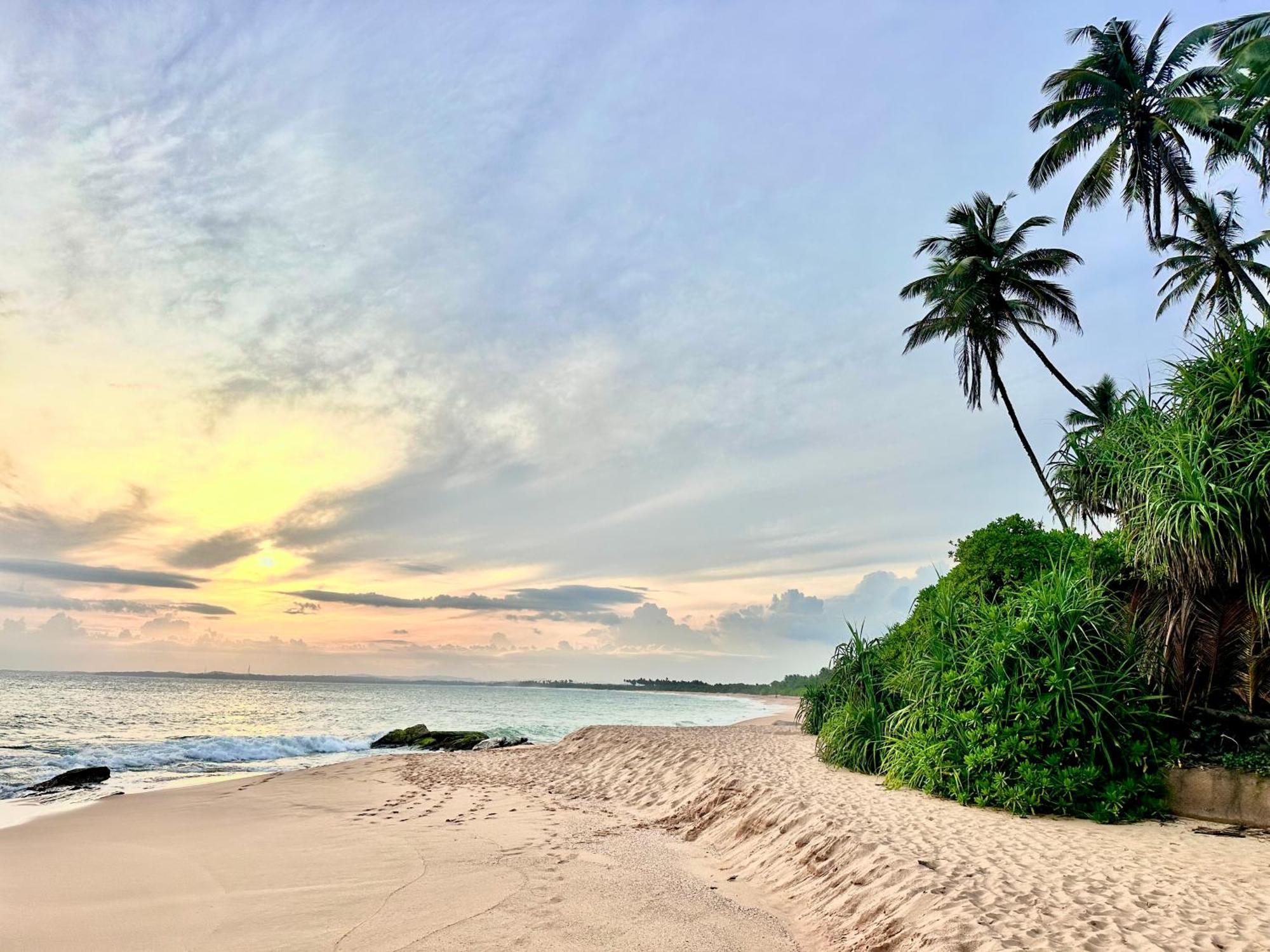 Rekawa Turtle Gate Hotel Tangalle Dış mekan fotoğraf