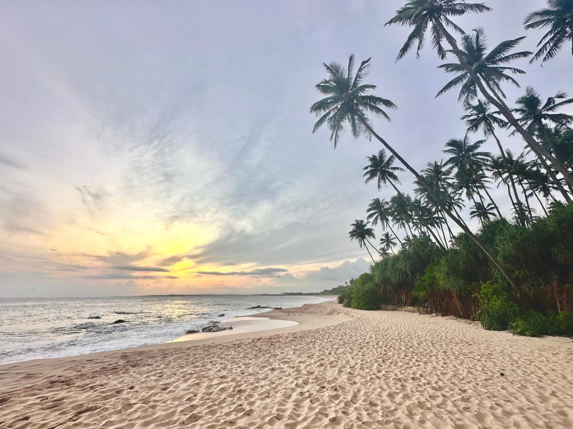 Rekawa Turtle Gate Hotel Tangalle Dış mekan fotoğraf